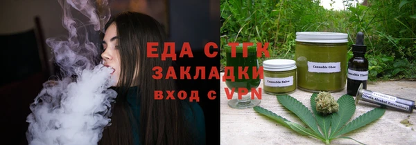 индика Богданович