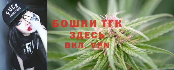 индика Богданович