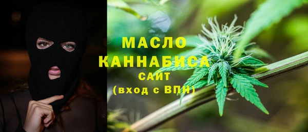 индика Богданович