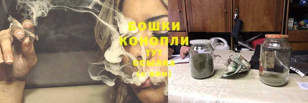 гашик Богородск