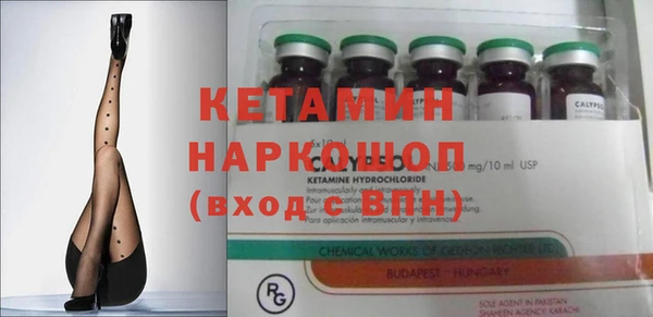 индика Богданович