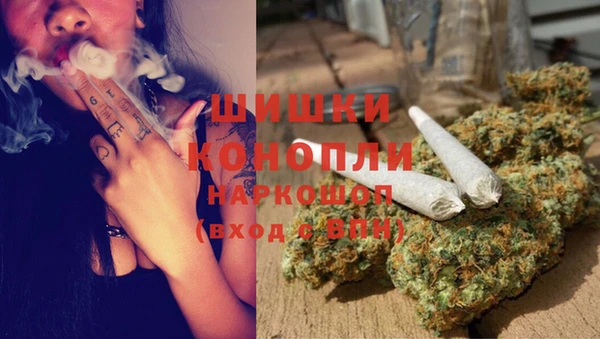 индика Богданович