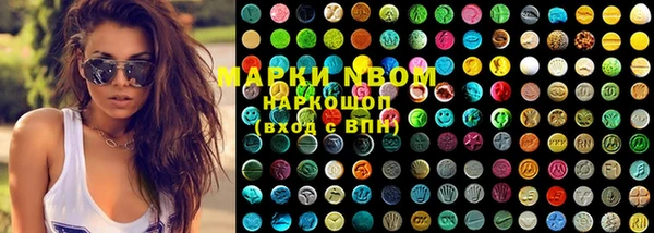 индика Богданович
