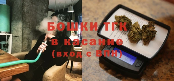 гашик Богородск